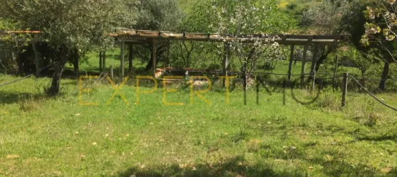 5 bedrooms House in Santarem, Portugal No. 146381 34