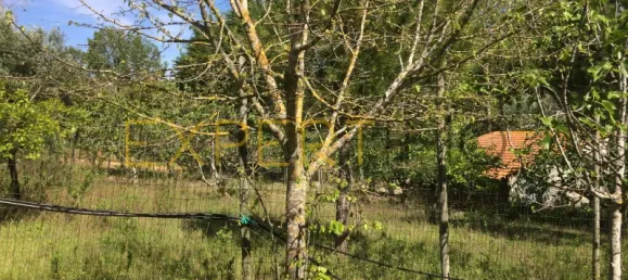 5 bedrooms House in Santarem, Portugal No. 146381 28