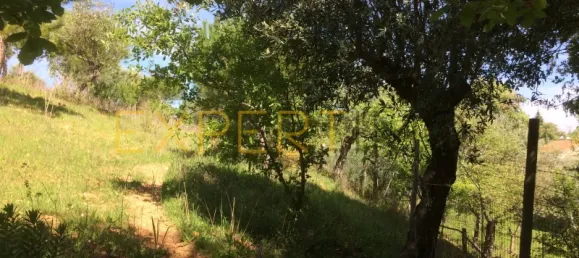 5 bedrooms House in Santarem, Portugal No. 146381 8