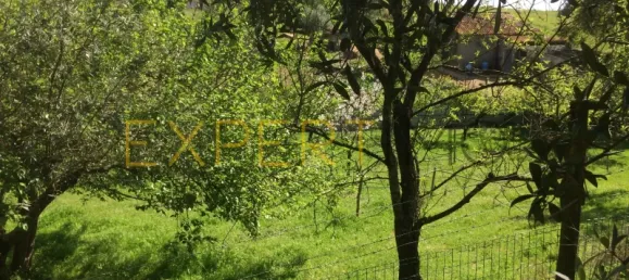 5 bedrooms House in Santarem, Portugal No. 146381 32