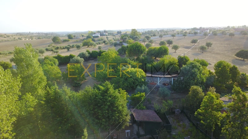 5 bedrooms House in Santarem, Portugal No. 146381