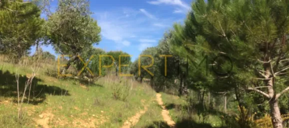 5 bedrooms House in Santarem, Portugal No. 146381 9