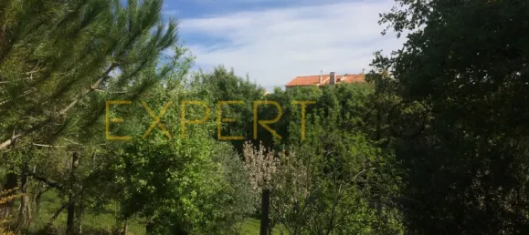 5 bedrooms House in Santarem, Portugal No. 146381 10