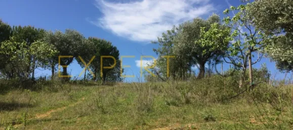 5 bedrooms House in Santarem, Portugal No. 146381 13