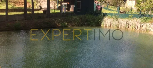 5 bedrooms House in Santarem, Portugal No. 146381 44