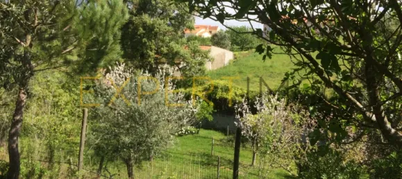 5 bedrooms House in Santarem, Portugal No. 146381 11