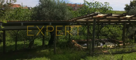 5 bedrooms House in Santarem, Portugal No. 146381 22