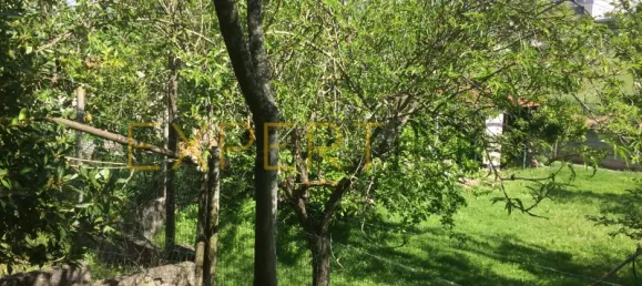 5 bedrooms House in Santarem, Portugal No. 146381 31