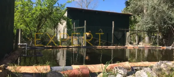 5 bedrooms House in Santarem, Portugal No. 146381 43