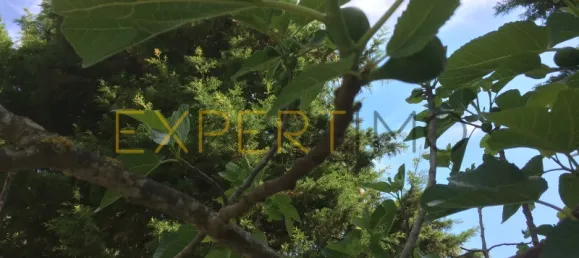 5 bedrooms House in Santarem, Portugal No. 146381 50