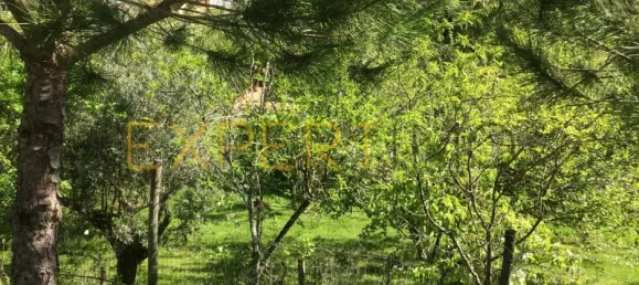 5 bedrooms House in Santarem, Portugal No. 146381 15