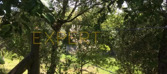 5 bedrooms House in Santarem, Portugal No. 146381 6