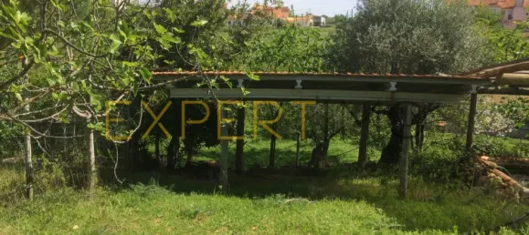 5 bedrooms House in Santarem, Portugal No. 146381 24