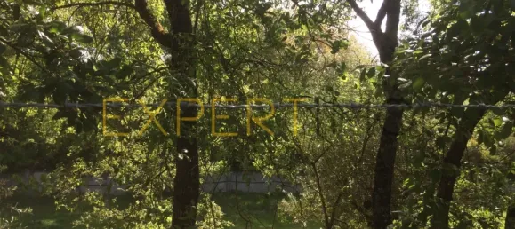 5 bedrooms House in Santarem, Portugal No. 146381 5