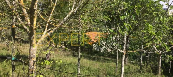 5 bedrooms House in Santarem, Portugal No. 146381 26