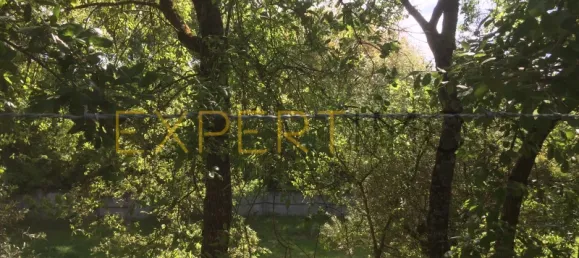 5 bedrooms House in Santarem, Portugal No. 146381 7