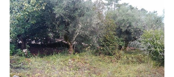 Casa T2 em Ansião, Portugal N.º 26411 7