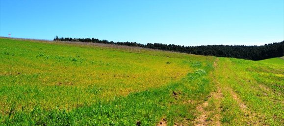 Hôtel à Chalkidiki, Greece 4125m² No. 7284 2