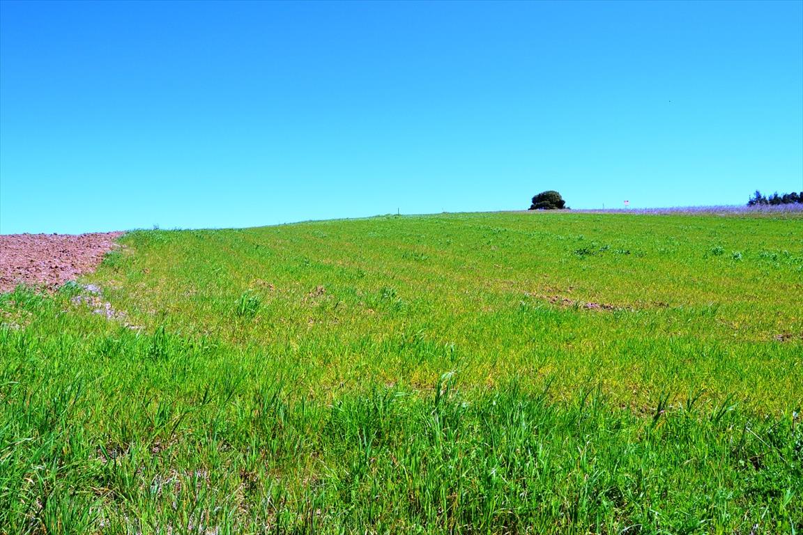 Hotel em Chalkidiki, Greece 4125 m² N.º 7284