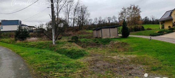 942m² Land in Flastroff, France No. 54958 6