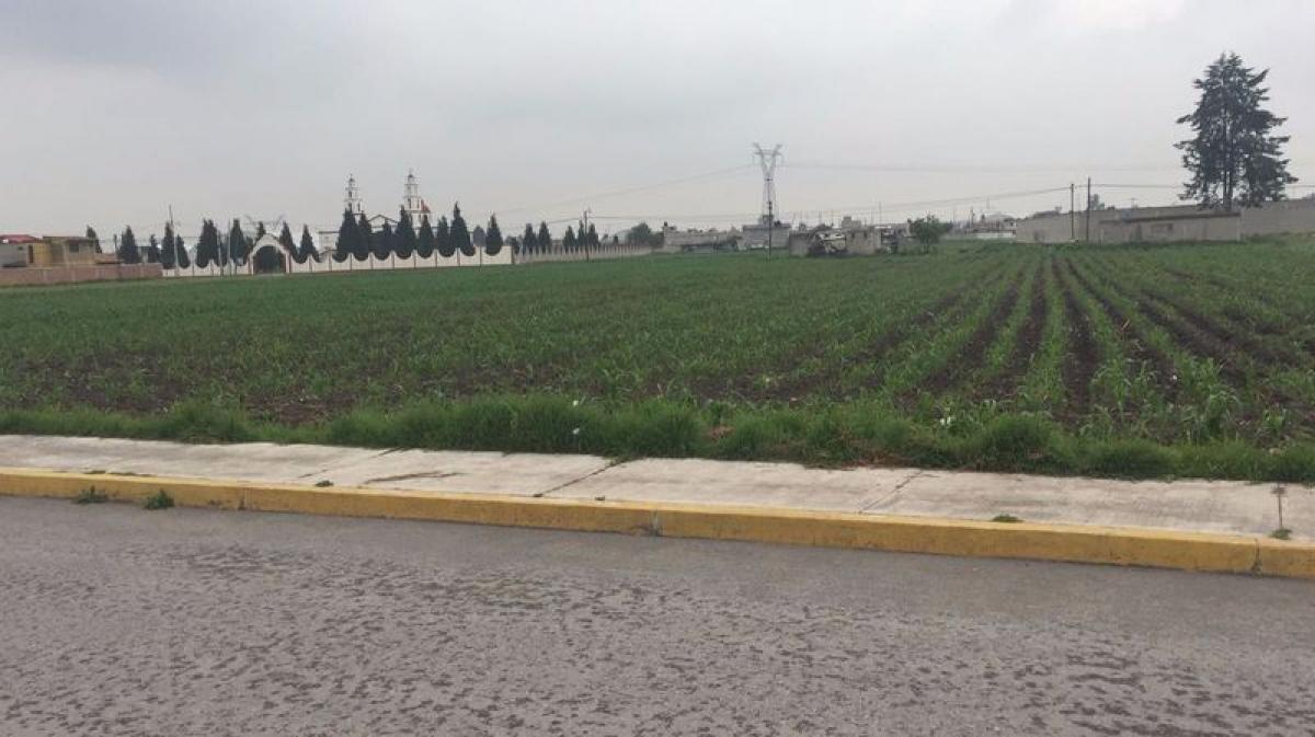  قطعة أرض في San Buenaventura, Mexico رقم 204541