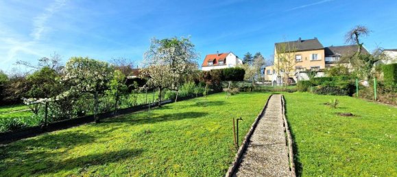 3 غرف نوم منزل في Sarreguemines, France رقم 70137 3