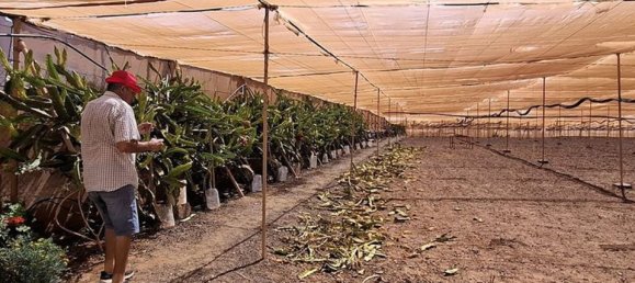 3 chambres Villa à Tuineje, Spain No. 184666 16