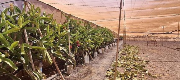 3 chambres Villa à Tuineje, Spain No. 184666 28