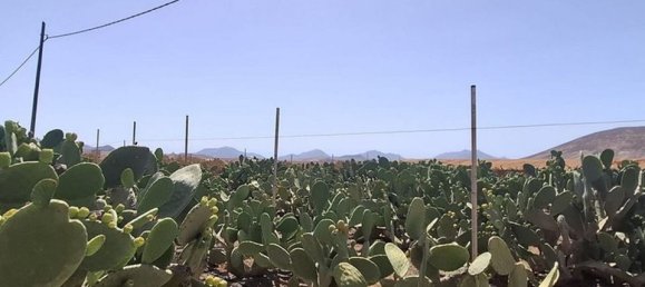 3 chambres Villa à Tuineje, Spain No. 184666 24