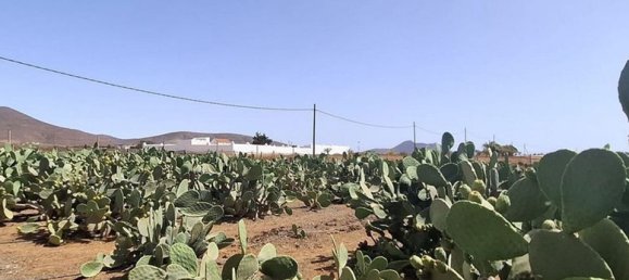 3 chambres Villa à Tuineje, Spain No. 184666 25