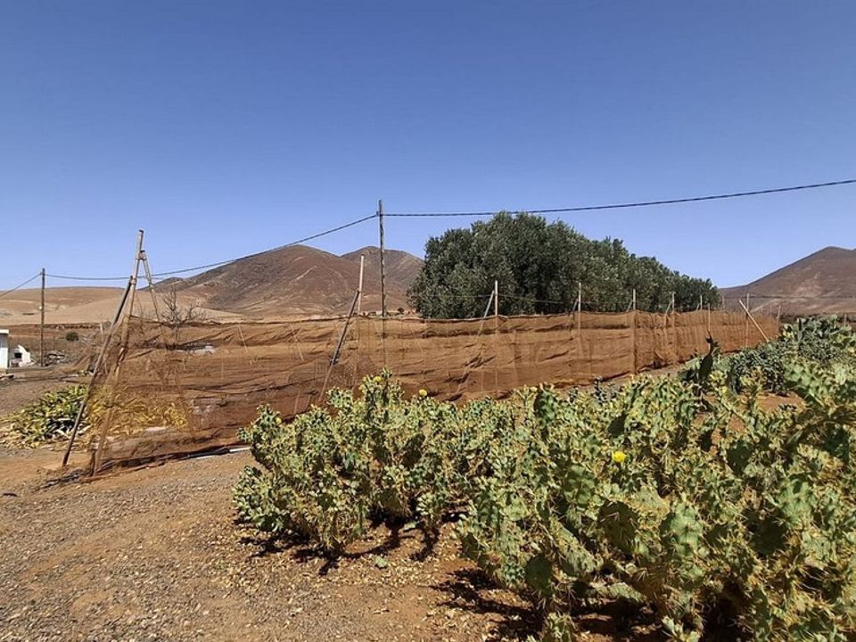 3 chambres Villa à Tuineje, Spain No. 184666