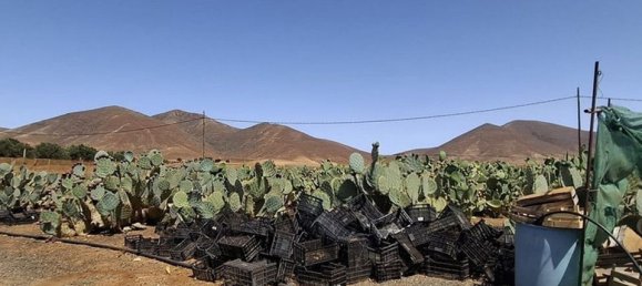 3 chambres Villa à Tuineje, Spain No. 184666 32