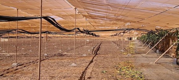 3 chambres Villa à Tuineje, Spain No. 184666 31