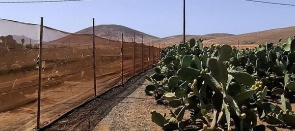 3 chambres Villa à Tuineje, Spain No. 184666 23