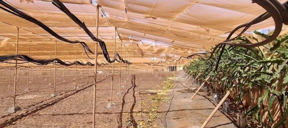 3 chambres Villa à Tuineje, Spain No. 184666 29