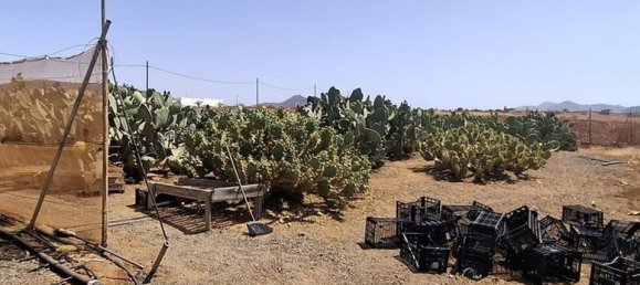 3 chambres Villa à Tuineje, Spain No. 184666 43