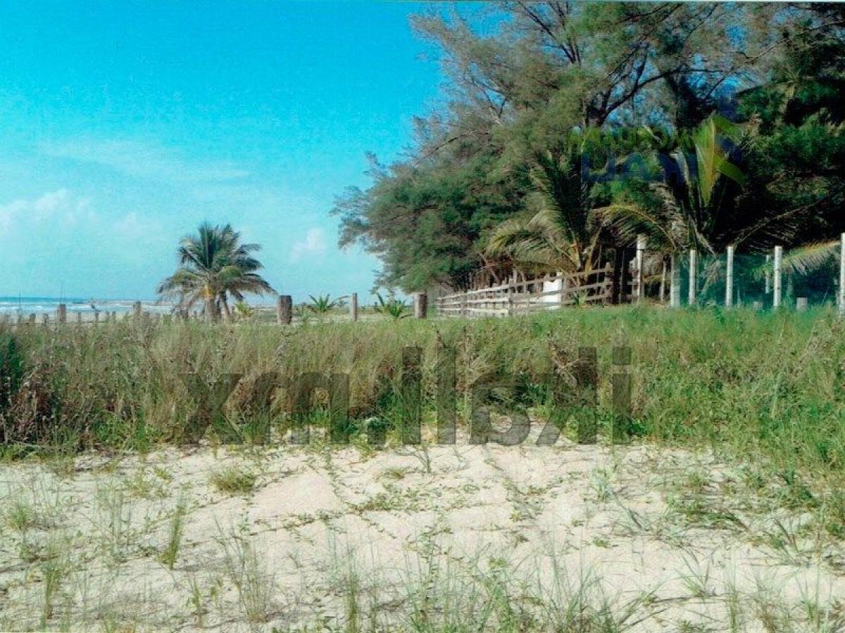  قطعة أرض في Veracruz, Mexico رقم 205995