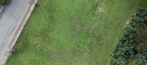 Terrain à Hirtzbach, France 639m² No. 86842 4