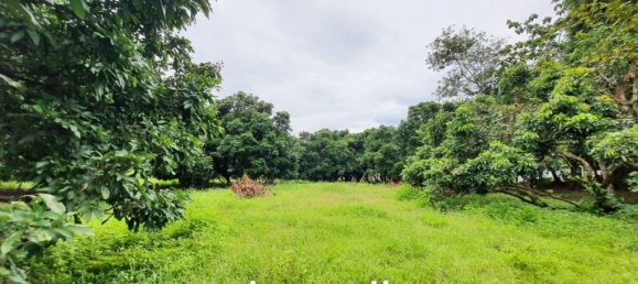 Gewerbliche Immobilie in Chiang Rai, Thailand, Nr. 15169 6