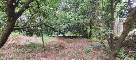 Gewerbliche Immobilie in Chiang Rai, Thailand, Nr. 15169 9