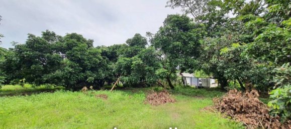 Gewerbliche Immobilie in Chiang Rai, Thailand, Nr. 15169 8