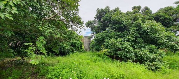 Gewerbliche Immobilie in Chiang Rai, Thailand, Nr. 15169 7