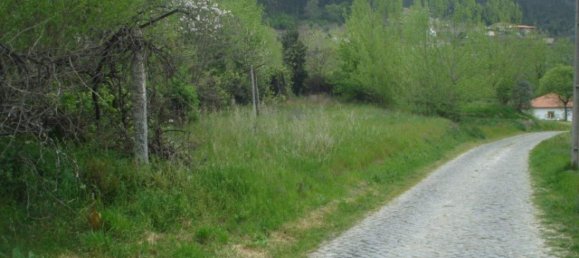  Land in Marco de Canaveses, Portugal No. 57749 5