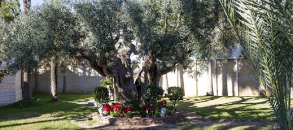 Villa de 5 dormitorios en San Pedro del Pinatar, Spain No. 181007 27