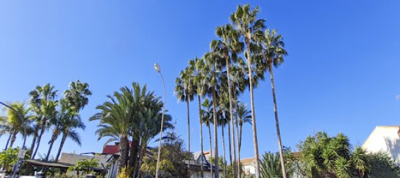 Villa de 5 dormitorios en San Pedro del Pinatar, Spain No. 181007 25