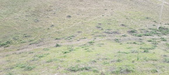 Grundstück in Sant'Angelo Muxaro, Italy 320000m², Nr. 71485 7