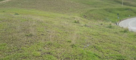 Grundstück in Sant'Angelo Muxaro, Italy 320000m², Nr. 71485 8