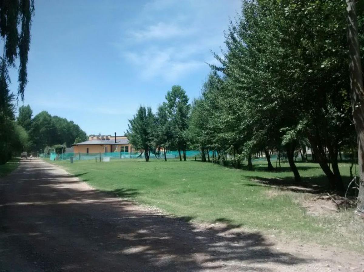 Land in Neuquen, Argentina No. 39418