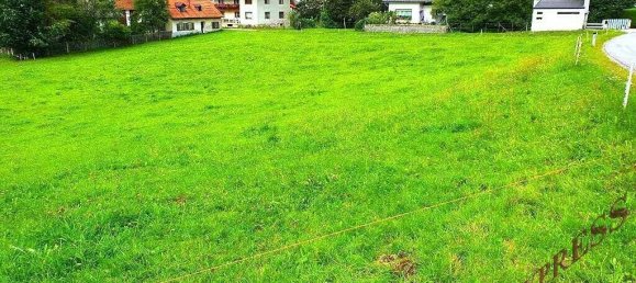 5000m² Land in Kindberg, Austria No. 135185 4