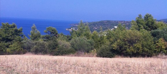 Hotel in Chalkidiki, Greece 10170m², Nr. 6463 4